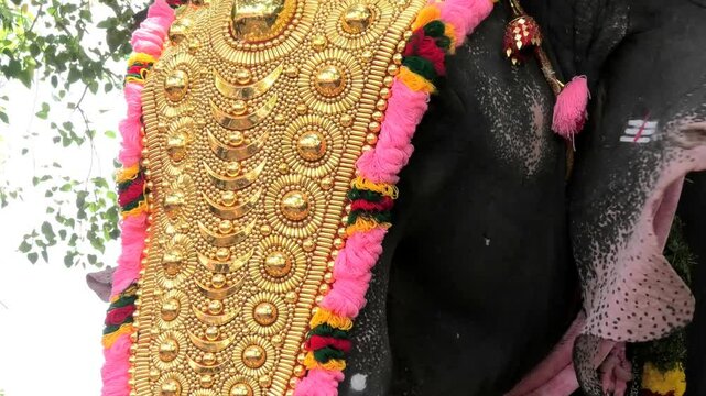 Closeup of decorated elephant participating in a temple festival in Kerala, India