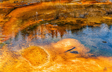 Artist's Palette, Orakei Korako Park, Taupo, North Island, New Zealand, Oceania.