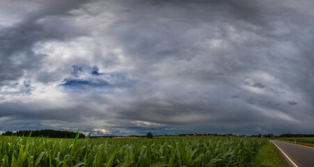 Aufnahme einer wolkenformation über eienm Maisfeld.