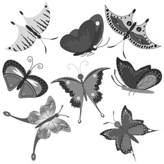 set of vector butterflies