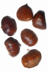 Kastanie Edelkastanie