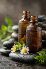 Two glass bottles with condensation stand on wet dark stones, surrounded by fresh chamomile flowers and green herbs