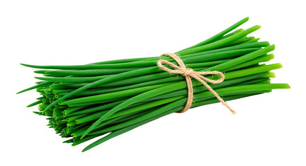 Fresh green chives bunch tied with twine string cooking ingredient culinary herb aromatic garnish close up