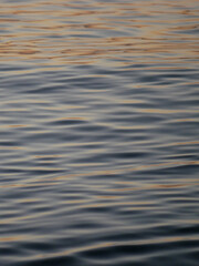 A tranquil close-up of gently rippling water illuminated by warm, golden light from a sunset. Wave pattern for wellness, nature, or background theme concepts