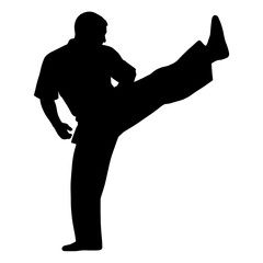 Martial artist executing a high kick in silhouette  