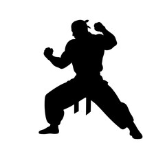 Silhouette of martial artist in stance with fists raised  