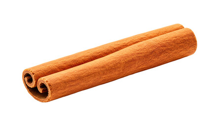 Close up of two cinnamon sticks with a spiral pattern against a black background in a studio shot