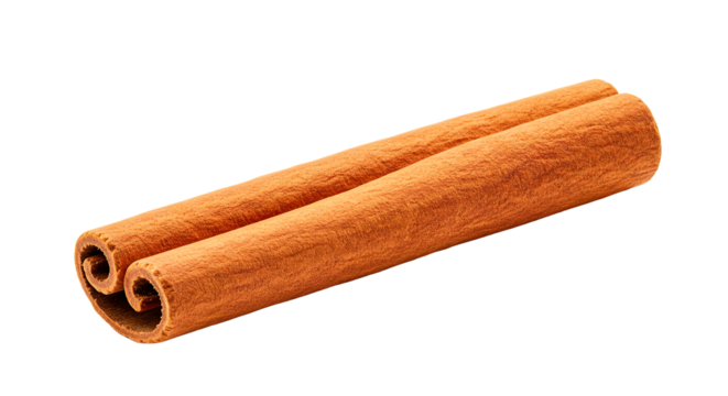 Close up of two cinnamon sticks with a spiral pattern against a black background in a studio shot