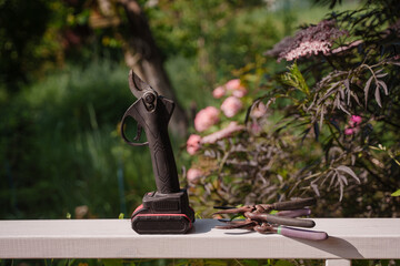Gardener's set in the form of various pruning shears. Garden electric pruner or battery pruner. Gardening tools are lying on wooden surface. Electric pruner for pruning bushes and small branches. 