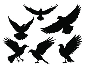Flying Bird Silhouettes Pack – Realistic Wildlife Vector on White Background