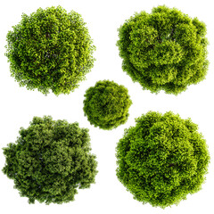 Aerial view of lush green trees vibrant foliage nature landscape | isolated on transparent background, perfect cutout, PNG