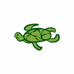 Green Sea Turtle Illustration