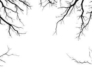 Black and white drawing of tree branches on a transparent background, with simple lin
