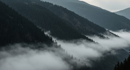 Obraz premium Misty Mountain Serenity: Dramatic Landscape of Fog-Shrouded Forest Peaks