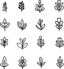 set of   hand drawn line art vector of cute plants