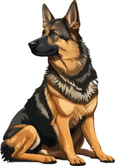 German Shepherd sitting with alert posture canine animal