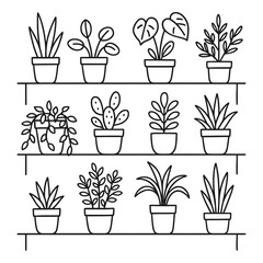 Indoor Potted Plants on Shelves - Botanical Outline Vector Illustration