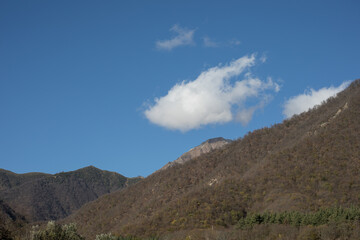 Landscape with beautiful fog in forest on hill or Trail through a mysterious winter forest with autumn leaves on the ground. Road through a winter forest. Magical atmosphere. Azerbaijan nature