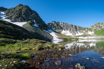 mountain lake in summer
