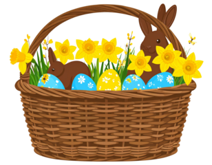 Easter basket with chocolate bunnies and blue eggs, yellow daffodils on a transparent  