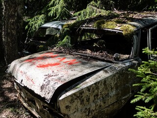 bastbas fanous cemetery of cars in sweden