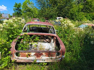 bastbas fanous cemetery of cars in sweden