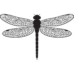 A minimalistic black and white illustration of a dragonfly with detailed wings on a white background on transparent background