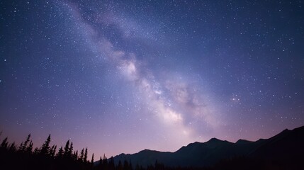 Fototapeta premium The sky is dark and the stars are shining brightly