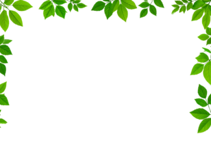 Green leaf border frame vector illustration on a transparent background, in PNG file
