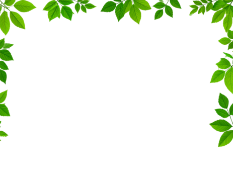 Green leaf border frame vector illustration on a transparent background, in PNG file