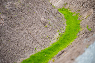 sowing grass by the highway, ditch in the grass