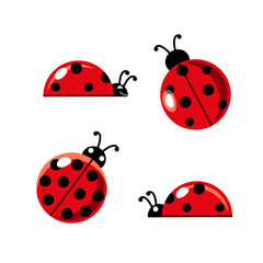 Ladybug Vector Illustration Top and Side View. Cute ladybug . Perfect for kids' decor, nature themes, and educational projects.