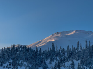 Last sunlight touches a snow-covered peak in Georgia while the forest below rests in shadow. A peaceful and atmospheric winter view from the Caucasus.
