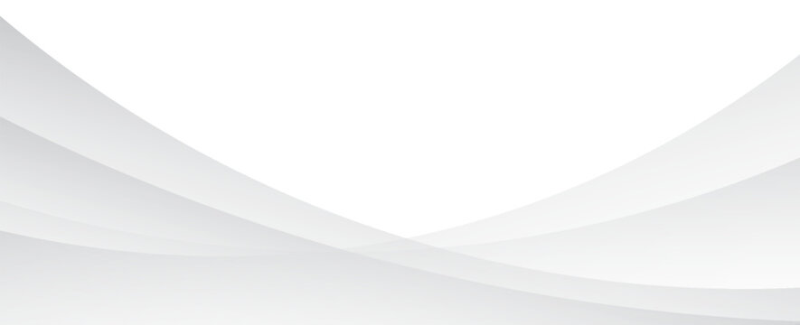 Vector gray line background curve element with white space for text and message design. illustartion