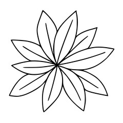 Simple Petal Floral Outline Art