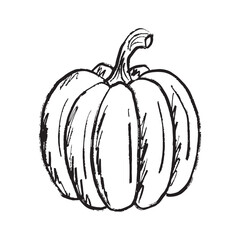 Pumpkin drawing in black brush stroke texture isolated on white. Hand drawn vector sketch illustration in vintage charcoal ink. Autumn symbol, Halloween, harvest design, vegetable design