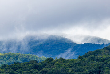 Landscape with clouds over the mountains. Mountains covered with forest after rain