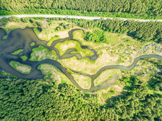 Aerial view of lake or river green shore with forest. Summer season.