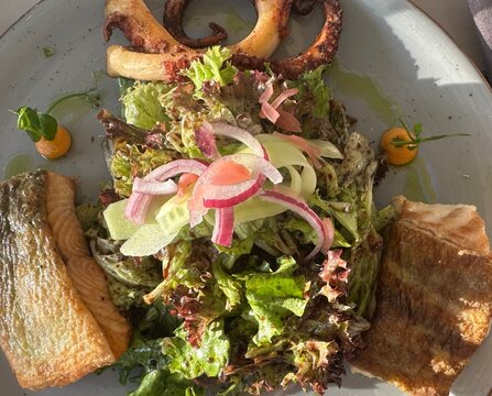 Salat mit Meeresfr&uuml;chten und Fisch 
