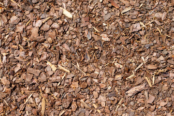 Overhead View of Wood Bark Mulch