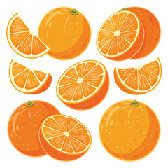 Collection of whole halved and sliced oranges on a white background