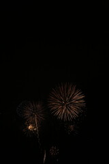 fireworks in the night sky