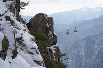 雪に覆われた御在所岳を登る｜Climbing Snow-Covered Mt. Gozaisho