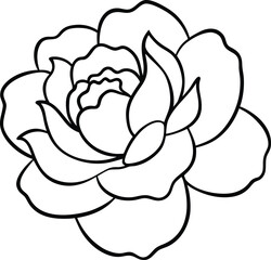 peony icon line art vector illustration on transparent background	