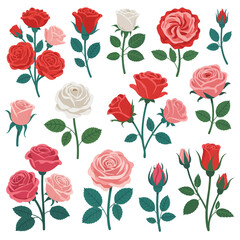 Collection of Colorful Roses in Various Stages of Bloom