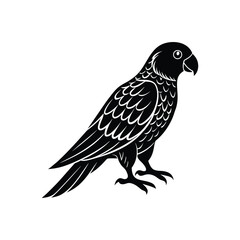 Fototapeta premium Full black a parrot silhouette vector illustration on white background