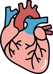  Human Heart Icon	

