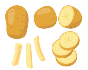 Fresh potato and pieces. Whole and cut organic potatoes tubers cook ingredients. Farm plant Potato icon set. Organic healthy vegetarian food. Vector illustration isolated on white background.