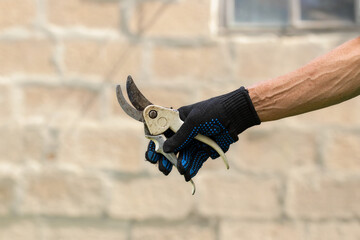Garden lopper.Garden pruning shears for pruning branches and shrubs.