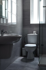 modern interior in hotel bathroom, shower cabin with glass door, floor mounted toilet
